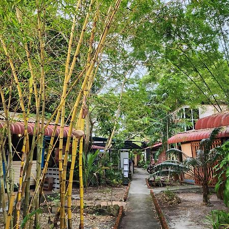 Blissfull Sweet Inn Pantai Cenang  Extérieur photo