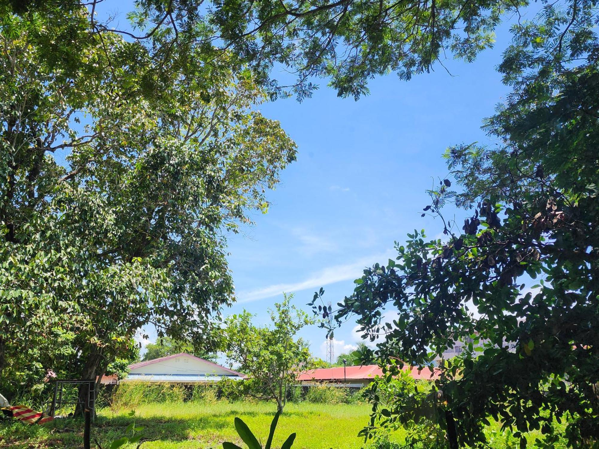 Blissfull Sweet Inn Pantai Cenang  Extérieur photo